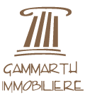 Gammarth Immobilière, Bien confisqués